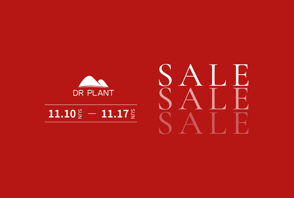 年に一度のBIG SALE開催! - DRPLANT