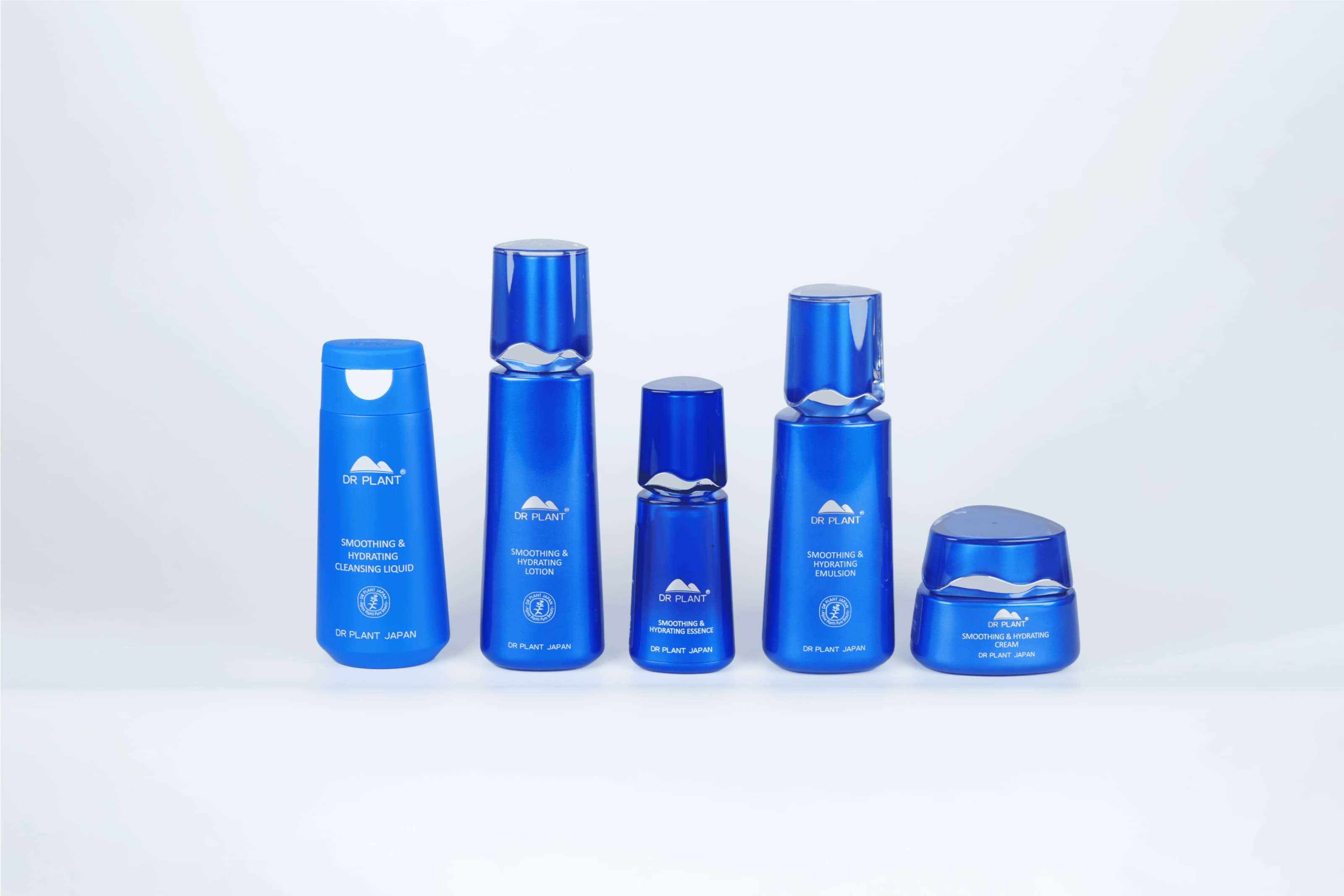 セッコク蘭 - DRPLANT