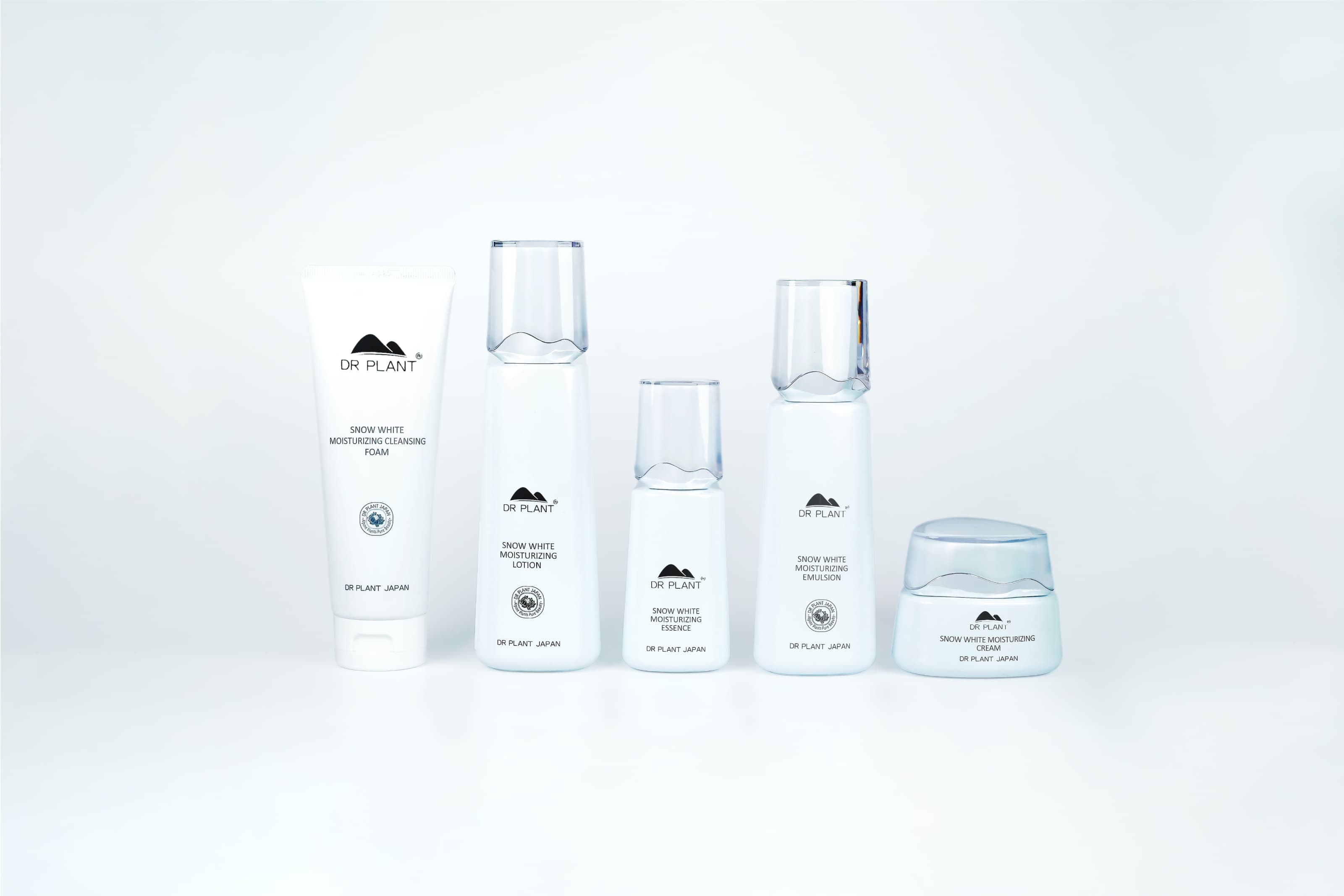 スノーロータス - DRPLANT