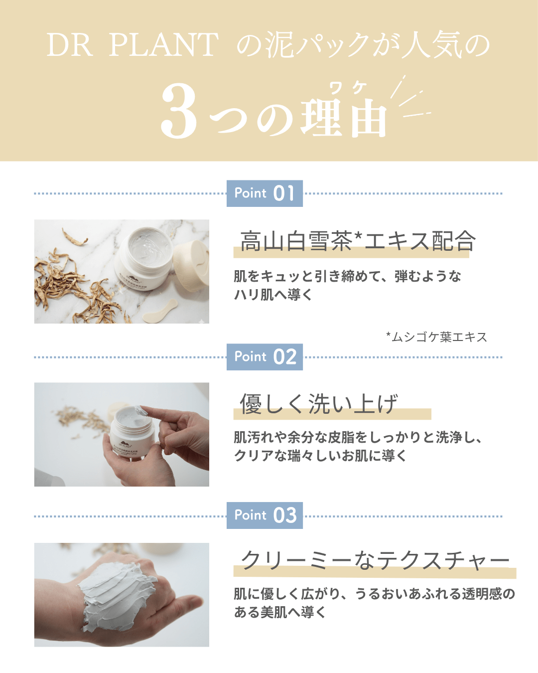 ホワイトスノーティー(白雪茶) ピュアリフティング泥パック - DRPLANT