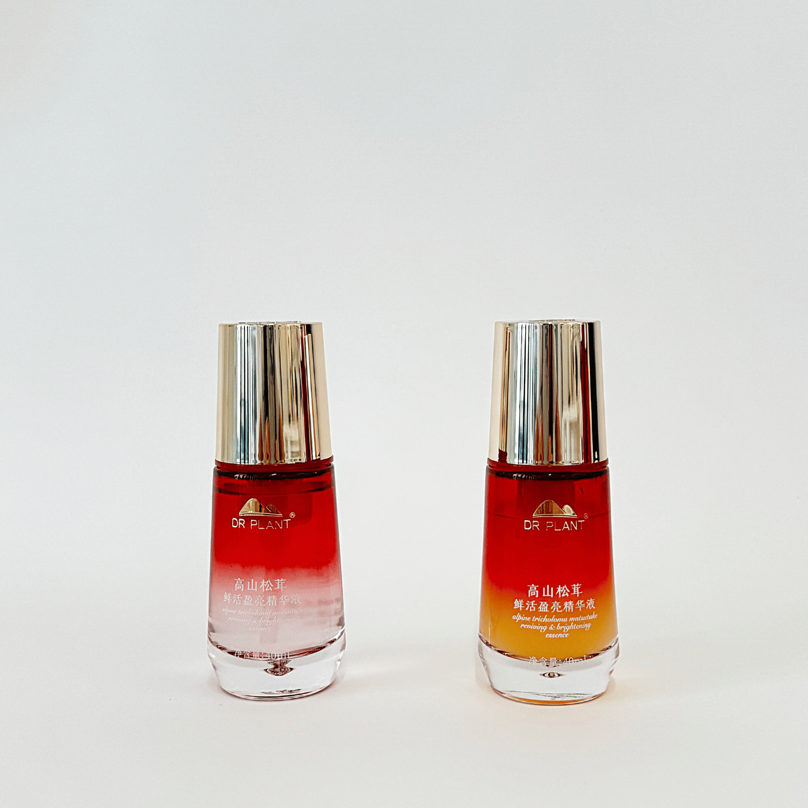 マツタケクリア フレッシュエッセンス - DRPLANT