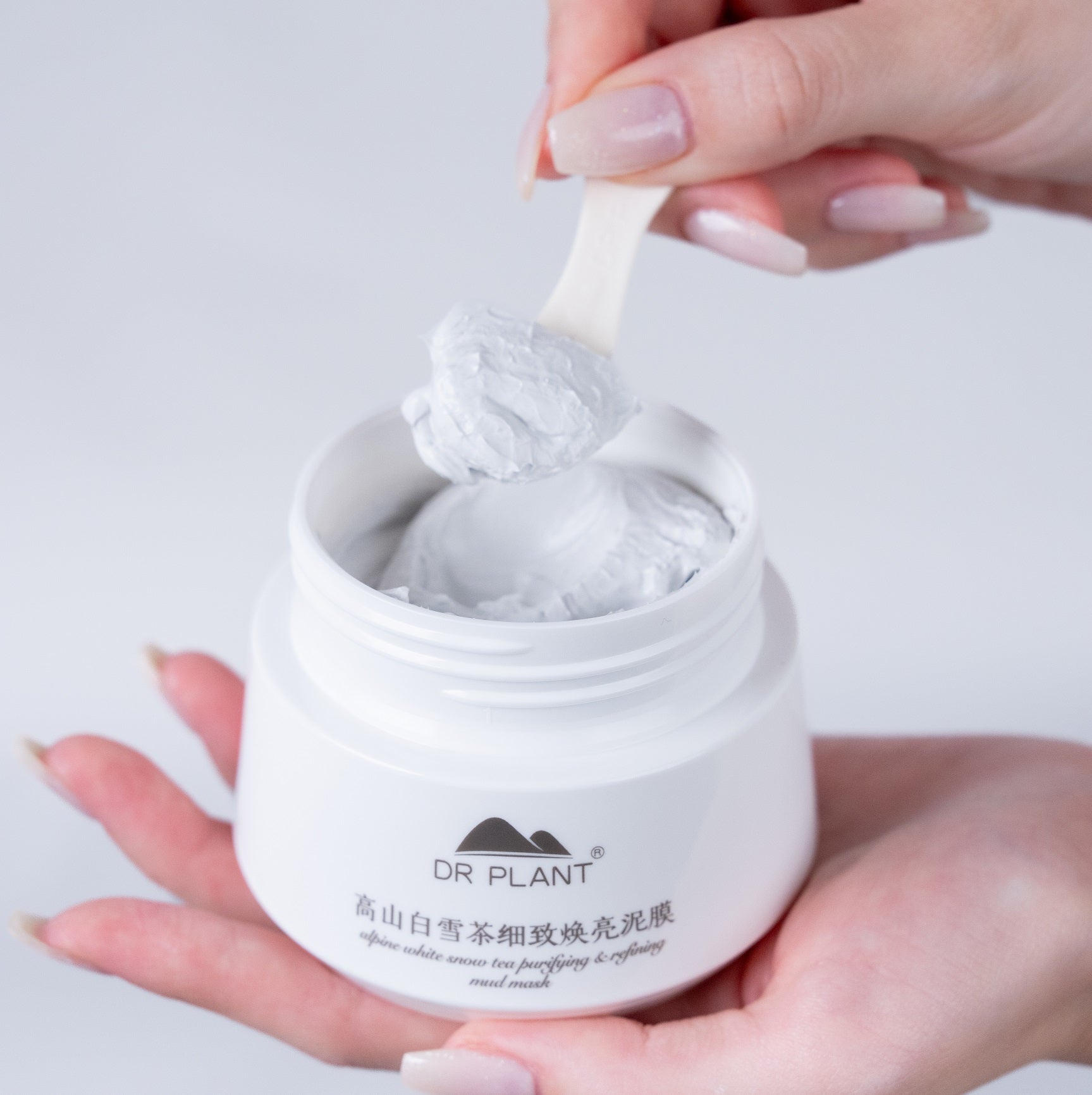 ホワイトスノーティー(白雪茶) ピュアリフティング泥パック - DRPLANT