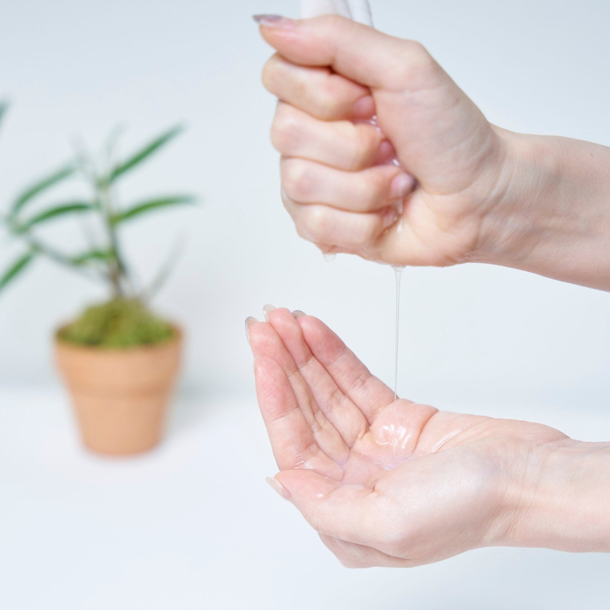 セッコク蘭エイジングケアマスクα - DRPLANT