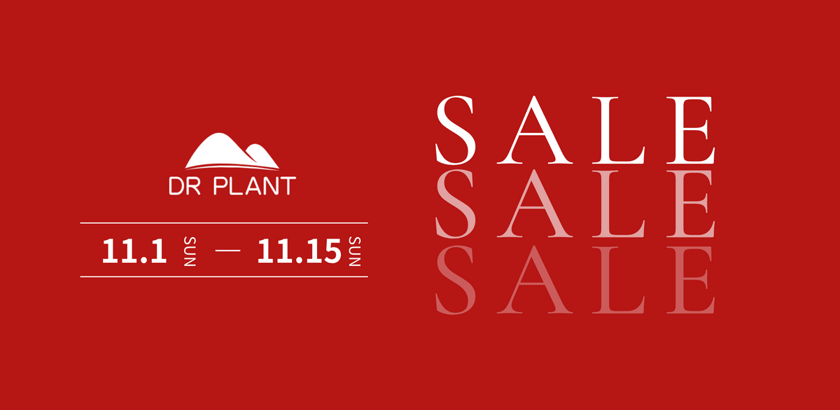 年に一度のBIG SALE開催！【11月1日（日）～2026年11月15日（日）】