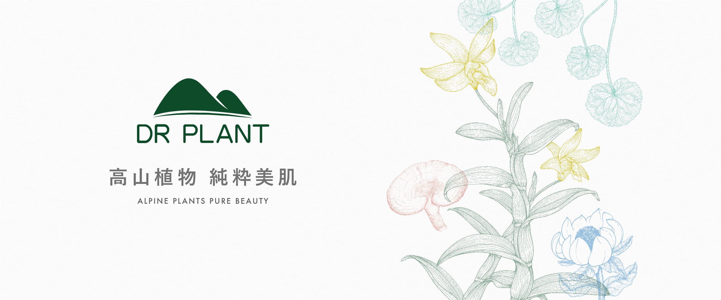 DR PLANT | 高山植物 純粋美肌