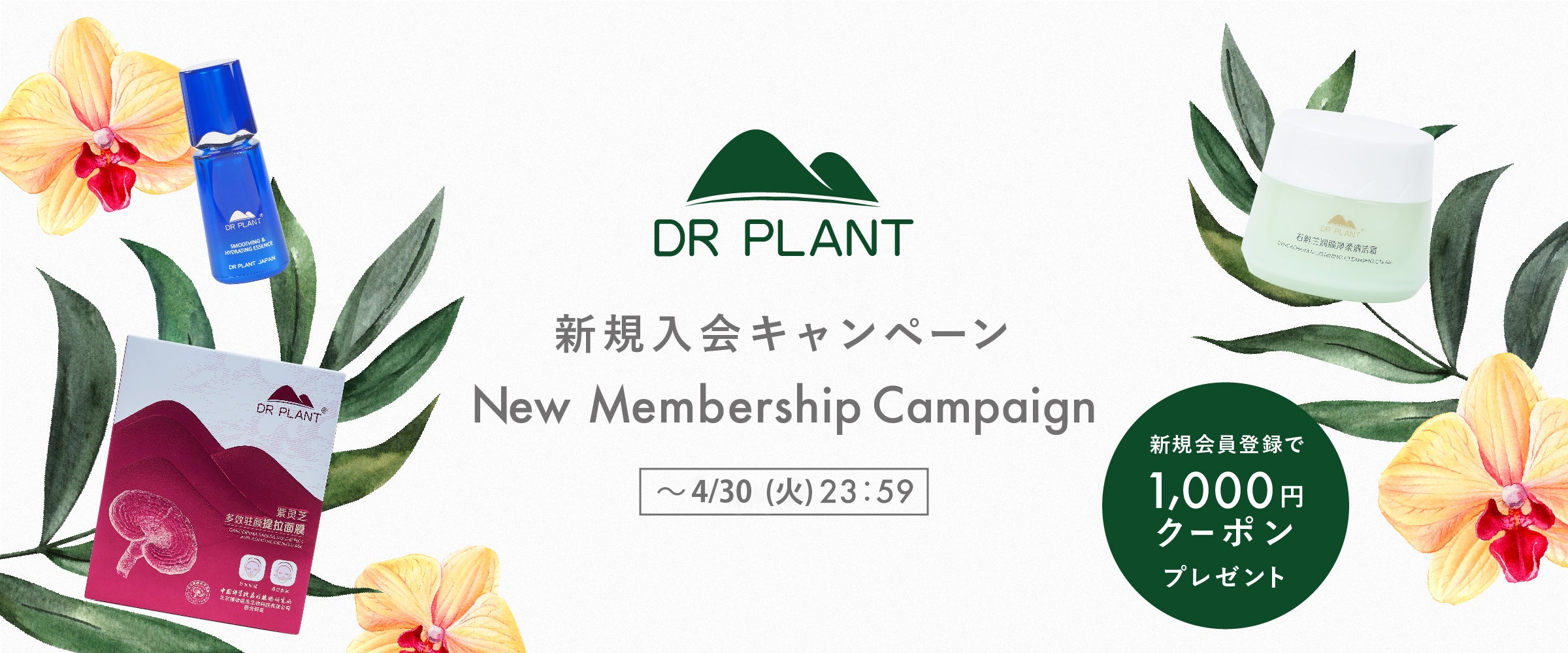 DR PLANT | 高山植物 純粋美肌