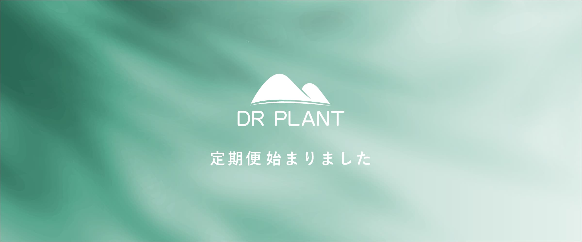 DR PLANT | 高山植物 純粋美肌